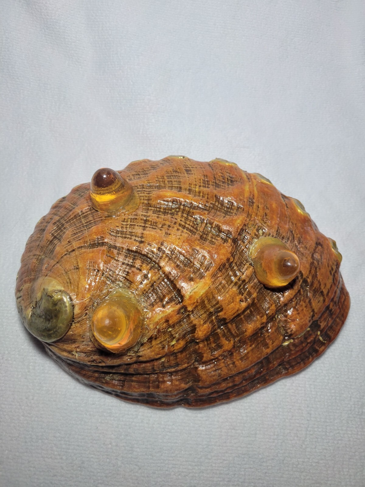 MCM  Red Abalone Ashtray Seashell Trinket Bowl Amber Lucite Tripod Feet 1960-70