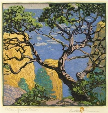 Gustave Baumann : Pinon, Grand Canyon : Archival Art Print