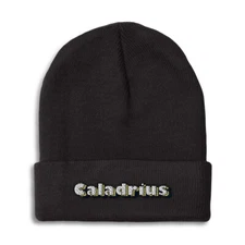 Beanies for Men Caladrius Winter Hats for Women Acrylic Skull Cap 1 Size