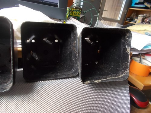 ene 130 Pflanztöpfen 10x10x11 cm 130Stk. - Bild 5 von 6