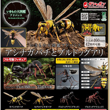The Diversity of Life on Earth Advance Paper Wasp Bulldog Ant Bandai Capsule Toy