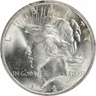1922 Peace Silver Dollar Choice BU Uncertified #848
