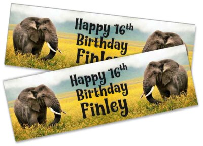x2 Personalisierte Geburtstagsbanner Elefant Kinder Erwachsene Party Deko 132