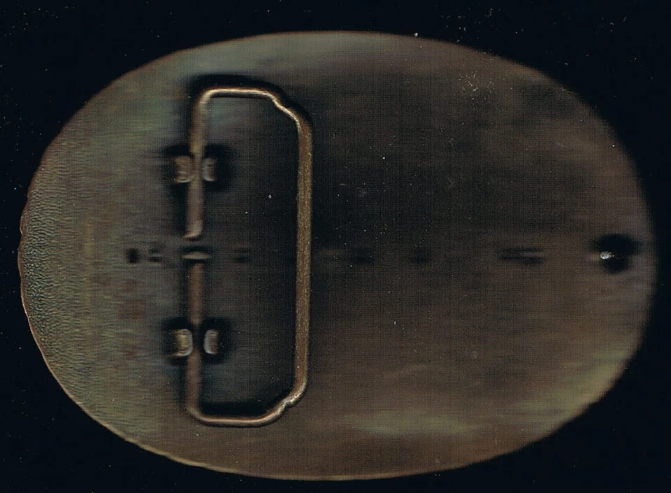 Hebilla de cinturón de cuero Budweiser Clydesdales de 3,7 x 2,6 pulgadas en latón antiguo ovalado Foto 2 de 2