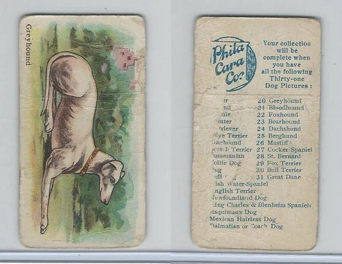 E33 Philadelphia Caramel, Dogs, 1911, Greyhound