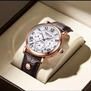 POEDAGAR Men's Luxury Quartz watch Waterproof With Leather Strap Wristwatch 