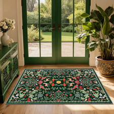 Area Rugs for Living Room 80X150 Cm, Washable anti Slip Large Rugs, Green Super