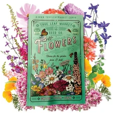 1 Lb Wildflower Seed Mix For Pollinators Butterfly Garden Non Gmo Easy Grow