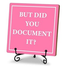 But Did You Document It, Funny Office Desk Decor, HR Gifts Decorative Pink