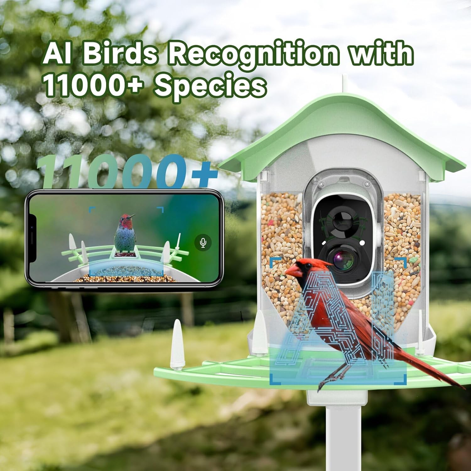 Smart Bird Feeder with Camera Solar Powered,Ai Identify Species,2K HD Video Auto