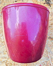 Needle Fresh Burgundy Plastic Plant Pot / Planter – 27cm x 25cm. Used