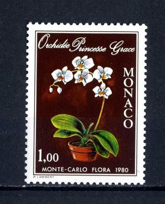 MONACO - 1979 - Ausstellung. ''Montecarlo Flora 1980''. Orchidee ''Prinzessin Grace''
