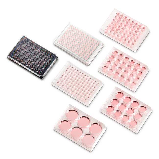 Thermo™ BioLite™ 12 Microwell Plates Cat#130185 Sterile 50