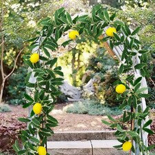 Simulation Lemon Vine Garland Rattan 175cm Artificial Greenery for Wall D