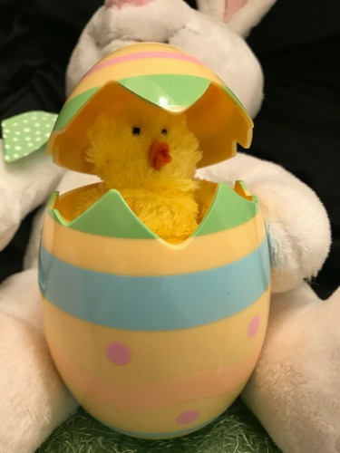 Hallmark Ostern animiert Plüsch Hase Kaninchen Küken Ei singt Schaukel Rotkehlchen Deko - Bild 3 von 12