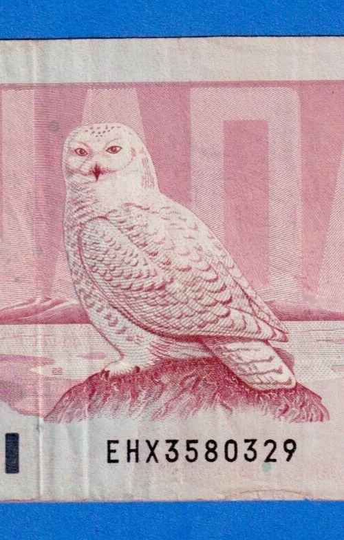 Canada $50 1988 BC-59aA / P-98a Circulated Replacement Note EHX3580329 SNOW OWL - Image 4 of 4