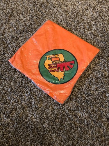 Boy Scouts Of America Blackhawk Illinois Vintage Neckerchief - Picture 2 of 5