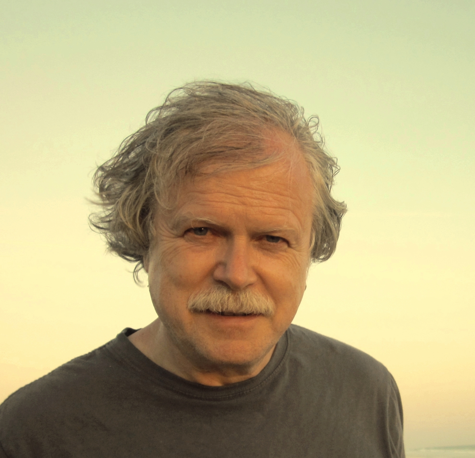 Thumbnail - Das Gedicht. Zeitschrift /jahrbuch Für Lyrik, Essay Und Kritik / Das