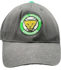Kane County Cougars Baseball Hat Minor League Youth Size Strapback Embroidered
