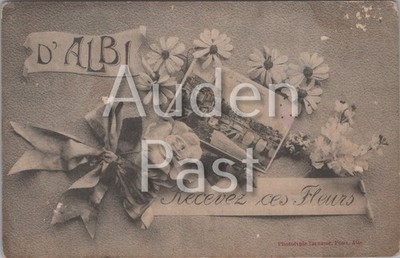 D'Albi Recevez Ces Fleurs Blumengruß Postkarte