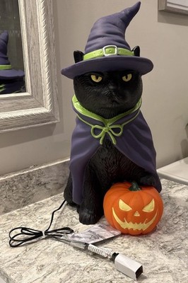 Cracker Barrel Black Cat Witch Blow Mold 2 Ft Halloween 2025