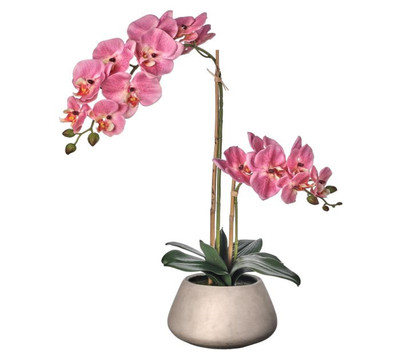 Real Touch Phalaenopsis Orchid in Cement Pot 24''