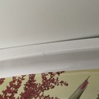 Foto 7 di 7