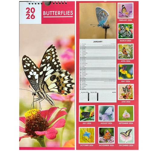 2023 Slim Calendar Planner Spirale, Coastal, Scenic, Slimline, busta regalo DG - Foto 25 di 45
