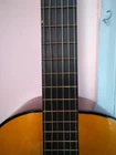 Picture 6 of 16