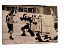 1972 TEAM CANADA TYPE 1 PHOTO EDDIE JOHNSTON SWEDEN NHL EXHIBITION SUMMIT SERIES