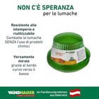 Foto 7 di 7
