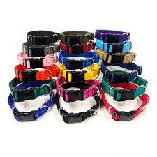 Dog Collar Adjustable In Various Colours 20mm 25mm Cushion Small Medium Large 
