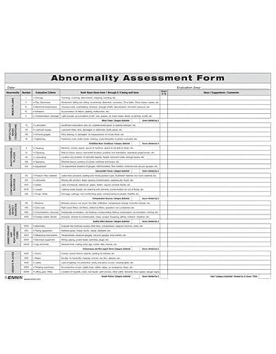 Abnormality Assessment Form - Image 2