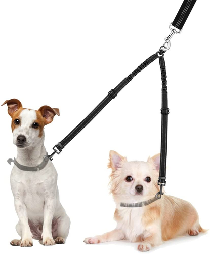 dog lead double
