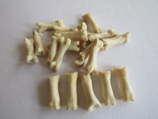 5 Red Fox Toe Bone Metatarsals Bones Craft/Jewelry Supplies  Bone  Animal