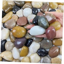 5 lbs River Rocks Pebbles for Indoor Plants, Decorative Mixed 1-2 Inch 5 Pounds