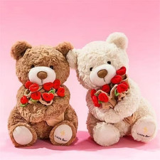 Rosen Teddybär Plüschtier Romantisches Geschenk Valentinstag