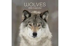 WOLVES - 2026 WALL CALENDAR - BRAND NEW - 223993