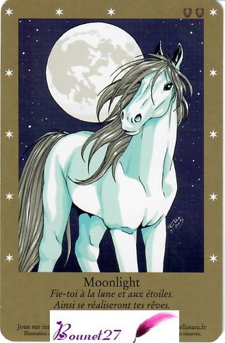 CARTE CARD Cheval Horse " BELLA SARA " EDITION DE BASE N° AUX CHOIX - Imagen 85 de 88
