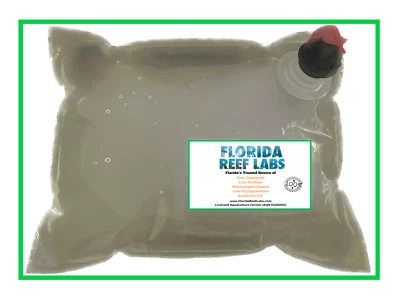 Live Copepods (TISBE/TIGRIOPUS-Tig/APOCYCLOPS) 1 gallon Florida Reef Labs®