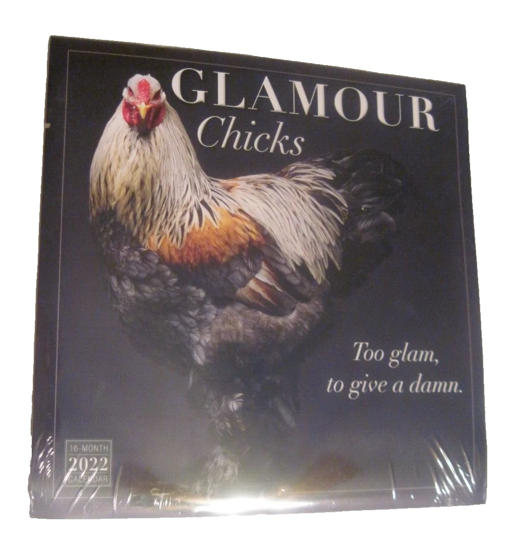 Glamour Chicks 2022 Wall Calendar Chickens 16 Month Sellers Publishing NEW  | eBay