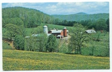 New Preston CT Spring Hill Farm Postcard Connecticut