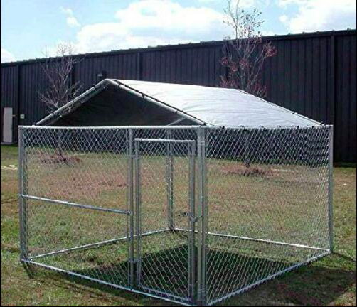 10x10 dog pen