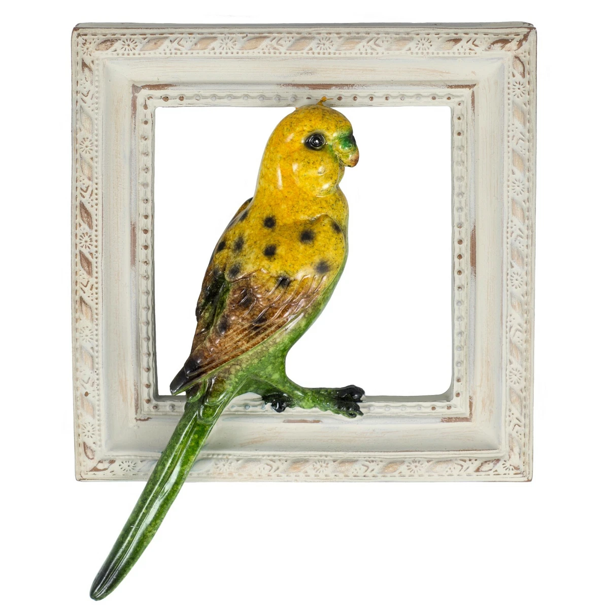 Parakeet yellow deals