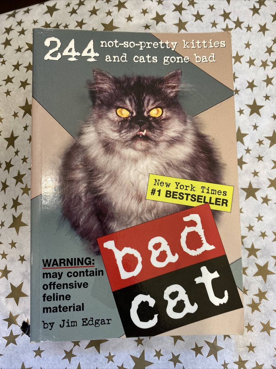 Bad Cat: 244 Not-So-Pretty Kitties and Cats Gone Bad