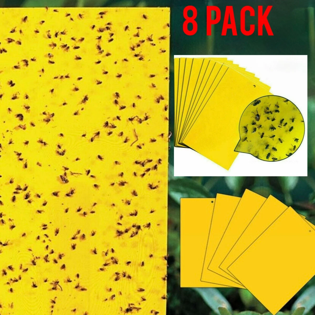 50 Insect Traps, Double Sided Sticky Paper, Yellow Sticky, 49 OFF