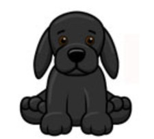Webkinz Black Labrador HM100 RARE dog puppy hound Virtual code msgd