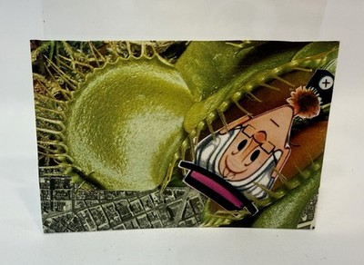 ACEO Art Card Original Surrealist Cut Paper Collage:  Elder Abuse  Venus Flytrap