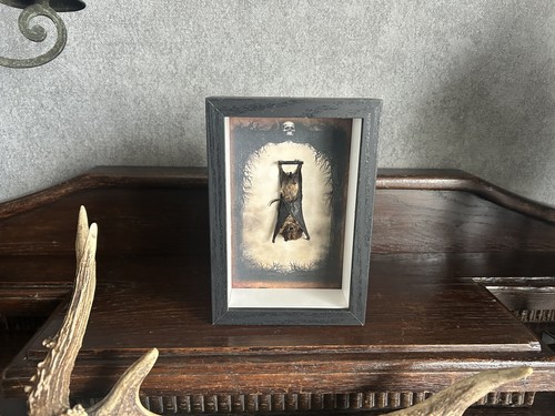 Fledermaus im Objektrahmen Wanddeko Bat Gothic schwarz tiefer Bilderrahmen Deko - Bild 7 von 7