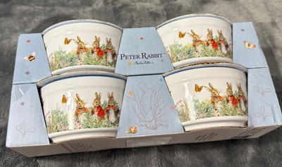 Beatrix Potter Peter Rabbit Garden Easter Floral Ramekins Set Of 4